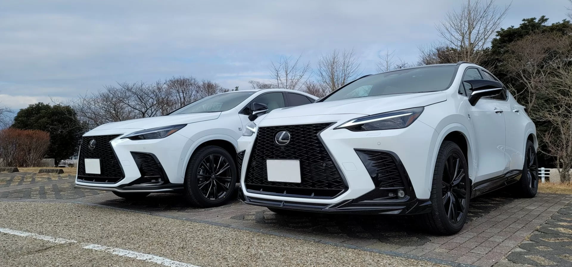 レクサス NX350 F SPORT 2022年式 ホワイトノーヴァガラスフレーク F SPORT PARTS エアロダイナミクスパッケージ(フロントスポイラー・エアロダイナミクスミラーカバー・サイドスカート・リヤディフューザー・スポーツマフラー)、F SPORT PARTS フロントスポイラー、F SPORT PA…