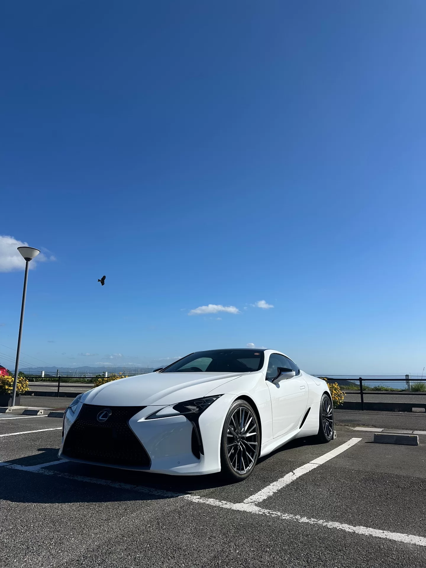 レクサス LC500 2023年式 ホワイトノーヴァガラスフレーク フロント左斜め