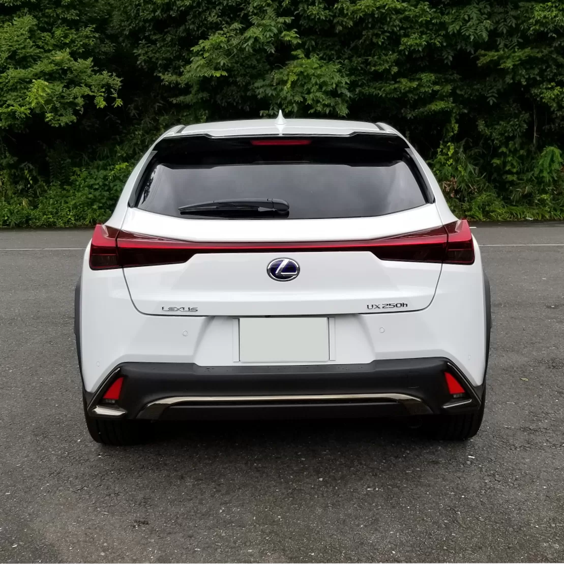 レクサス UX250h F SPORT 2018年11月モデル ホワイトノーヴァガラスフレーク リア