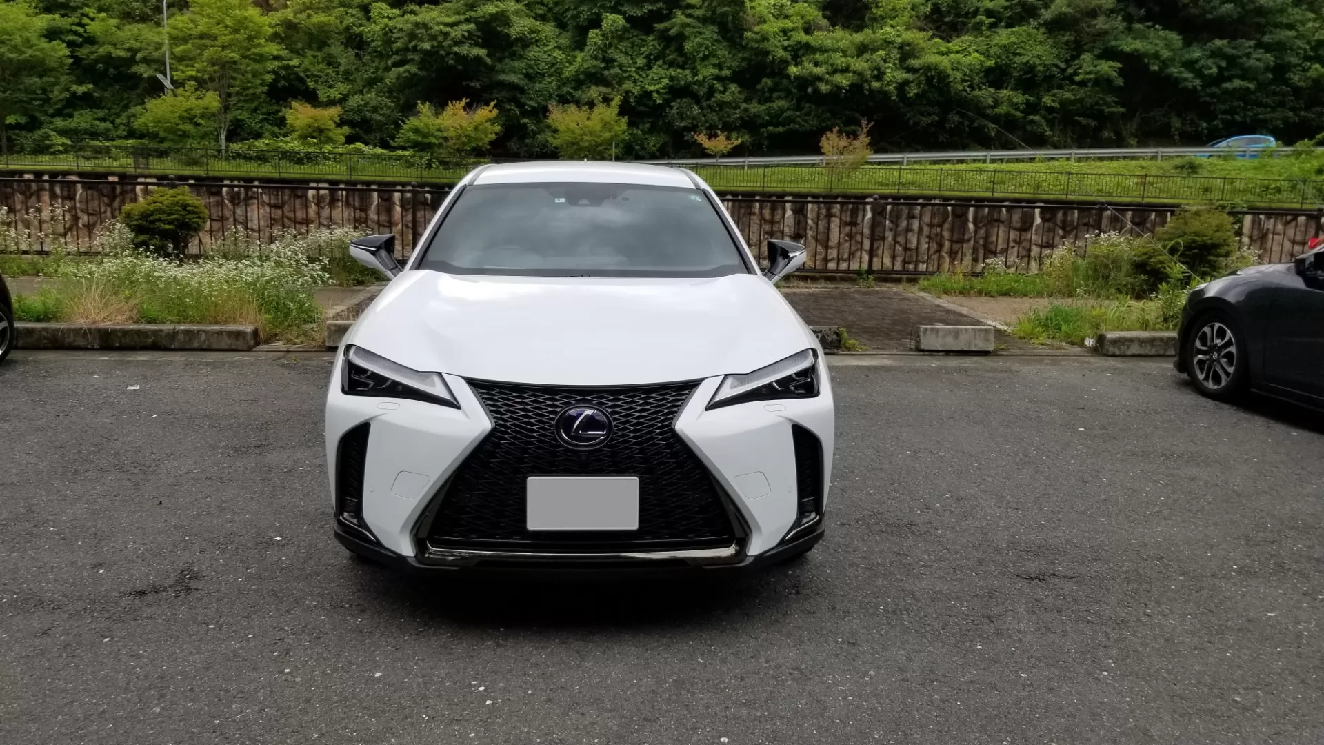 レクサス UX250h F SPORT 2018年11月モデル ホワイトノーヴァガラスフレーク フロント