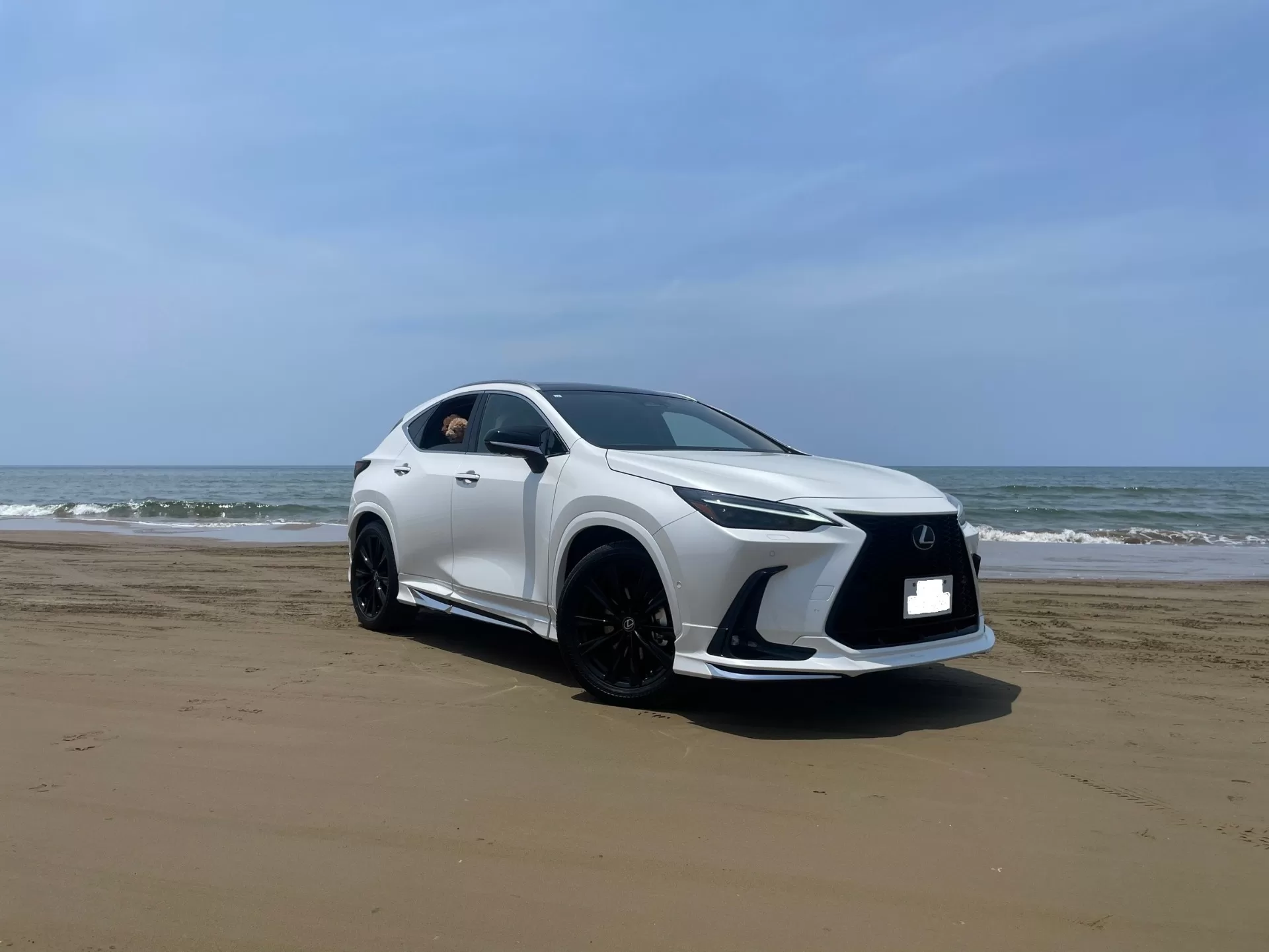 レクサス NX350h version L 2023年式 ソニッククォーツ エアロパーツセット(フロントスポイラー・サイドスポイラー・リヤバンパースポイラー) フロント右斜め