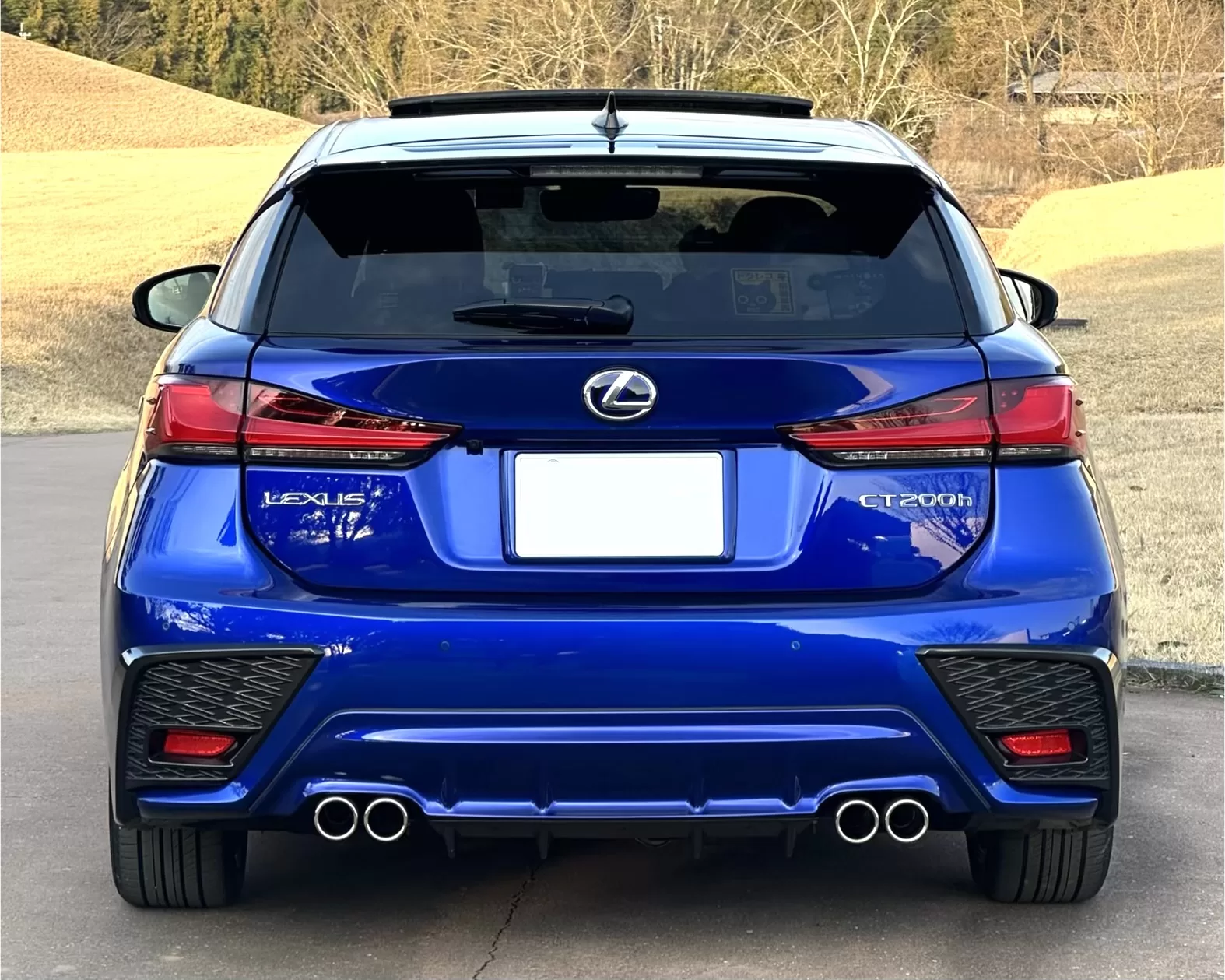 レクサス CT200h F SPORT 2018年式 ブラックルーフ&ヒートブルーコントラストレイヤリング “F SPORT”専用リヤスポイラー リア