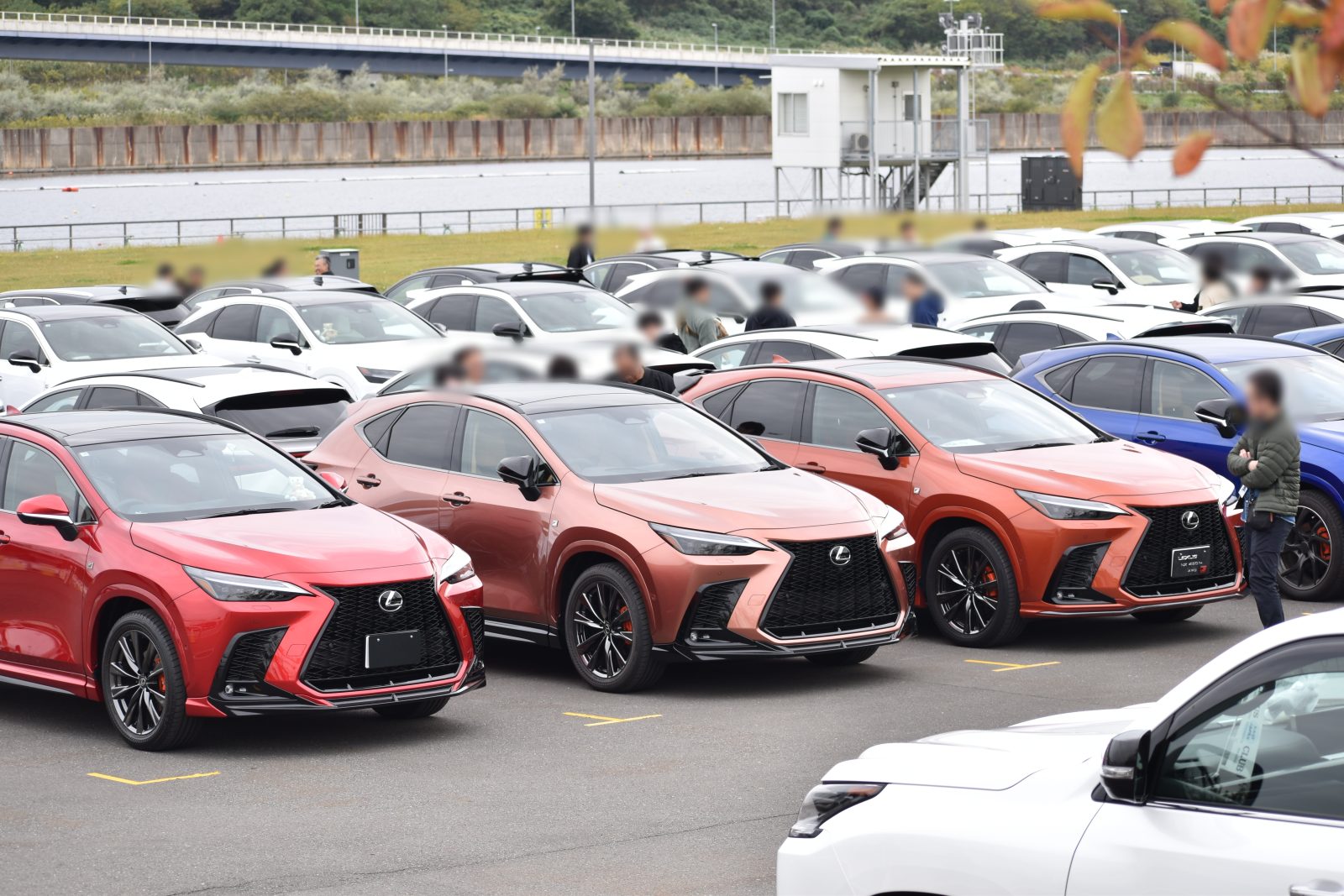 珍しいボディカラーの車も。