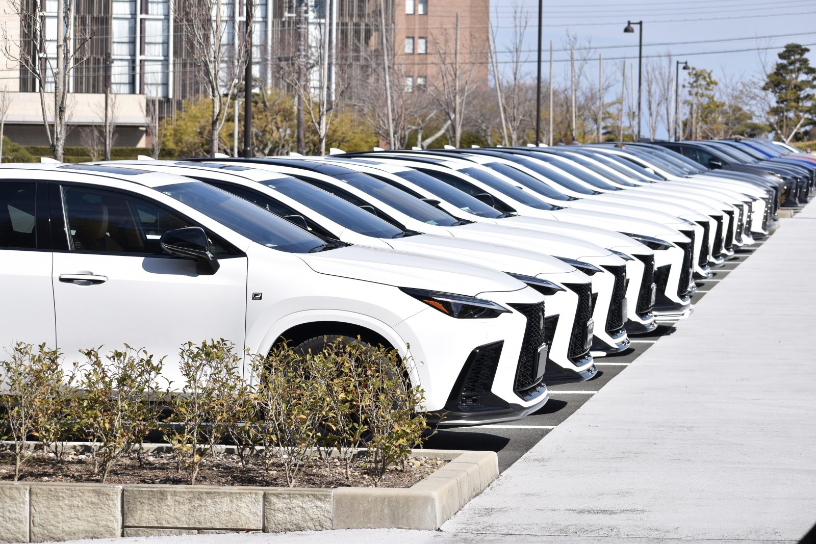 同じ車種が綺麗に並ぶ様は圧巻！